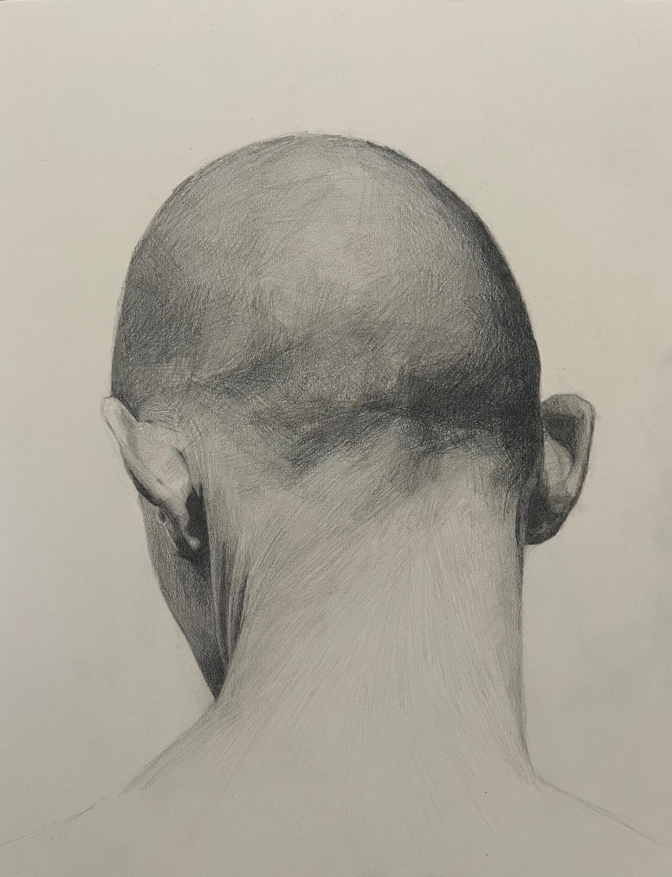 Graphite study of a male head