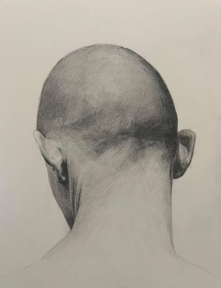 Graphite study of the back of a male head and neck